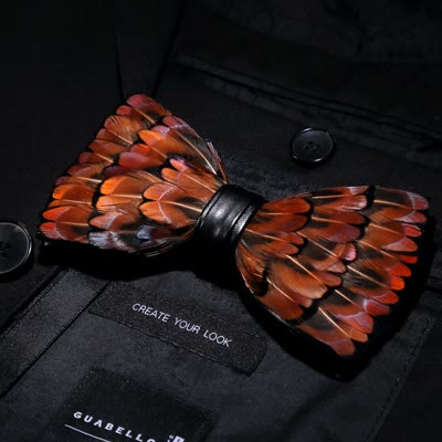 Braune & schwarze Feder-Fliege mit Reversnadel