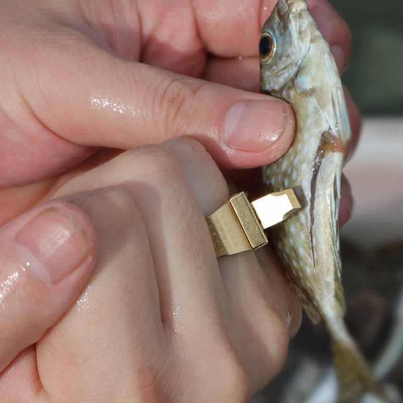 Multifunktionaler, versteckter Klingenverstellring