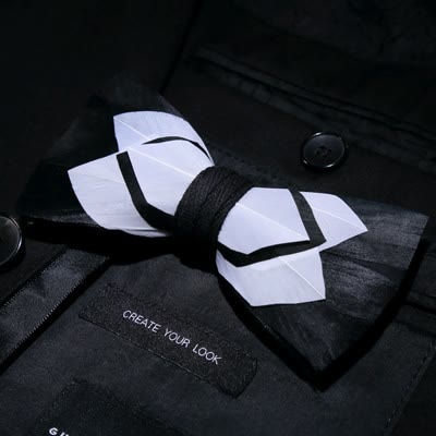 Weiß & Schwarz Zurückhaltende Feder Bow Tie mit Reversnadel