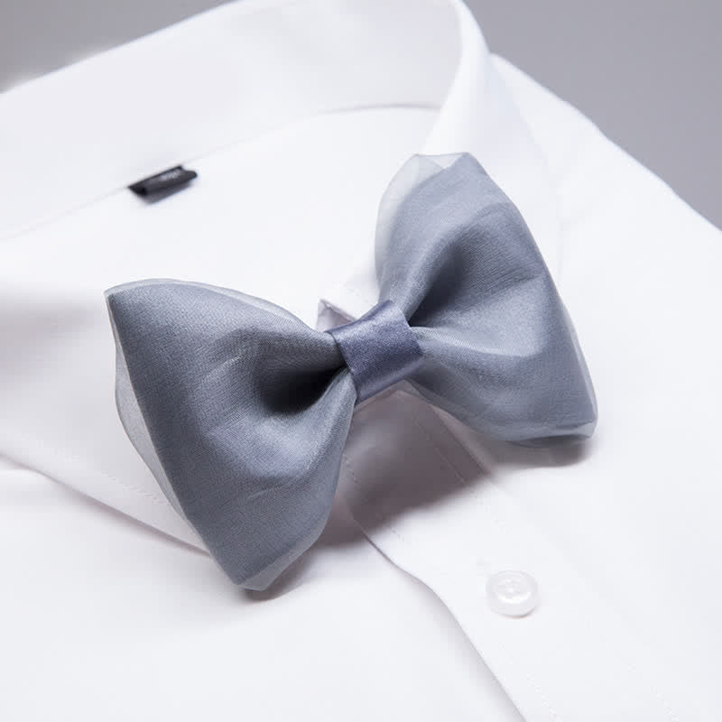 Einfacher eleganter grauer Organza-Fliege für Herren