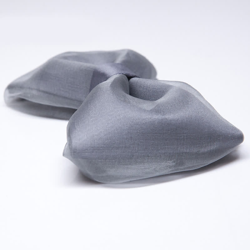Einfacher eleganter grauer Organza-Fliege für Herren
