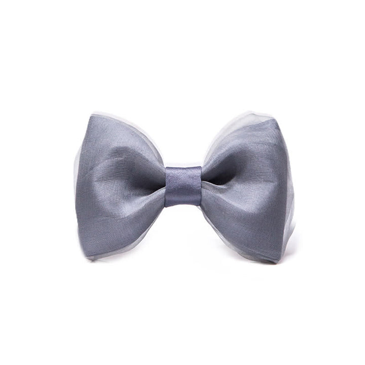 Einfacher eleganter grauer Organza-Fliege für Herren