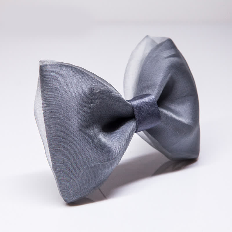 Einfacher eleganter grauer Organza-Fliege für Herren