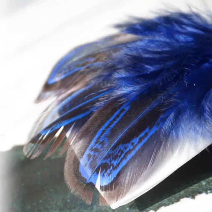 Marineblau & Reinweiß Vogel Feder Fliege