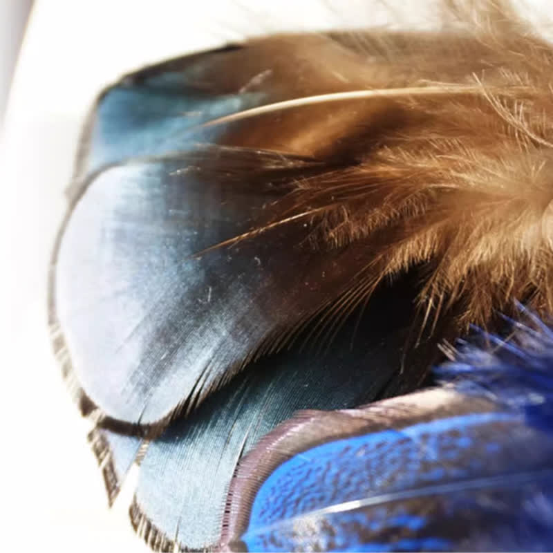 Edel Marineblau &amp; Schwarz Vogelfederfliege