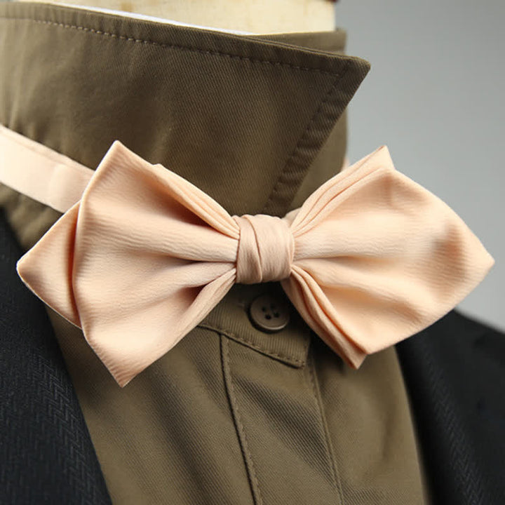Herren Hochzeit Besondere spitze Form Fliege