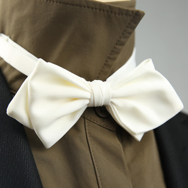 Herren Hochzeit Besondere spitze Form Fliege