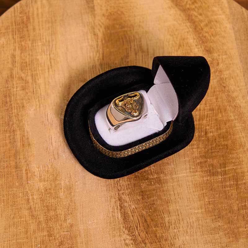 DIY Poker verstecktes Messer Gürtelschnalle Bull Ring Longhorn Anhänger Bundle Set - image 4