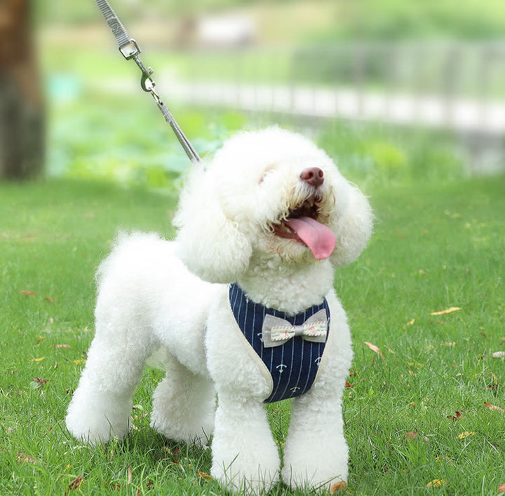 Hunde-/Katzenfliege, Spazierweste, Hundegeschirr, Leine, Set