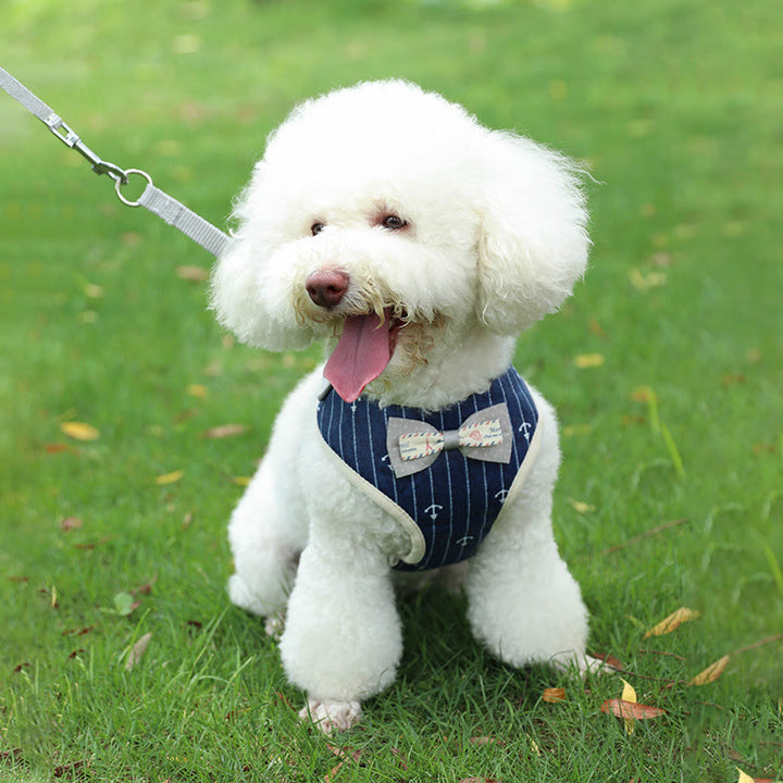 Hunde-/Katzenfliege, Spazierweste, Hundegeschirr, Leine, Set