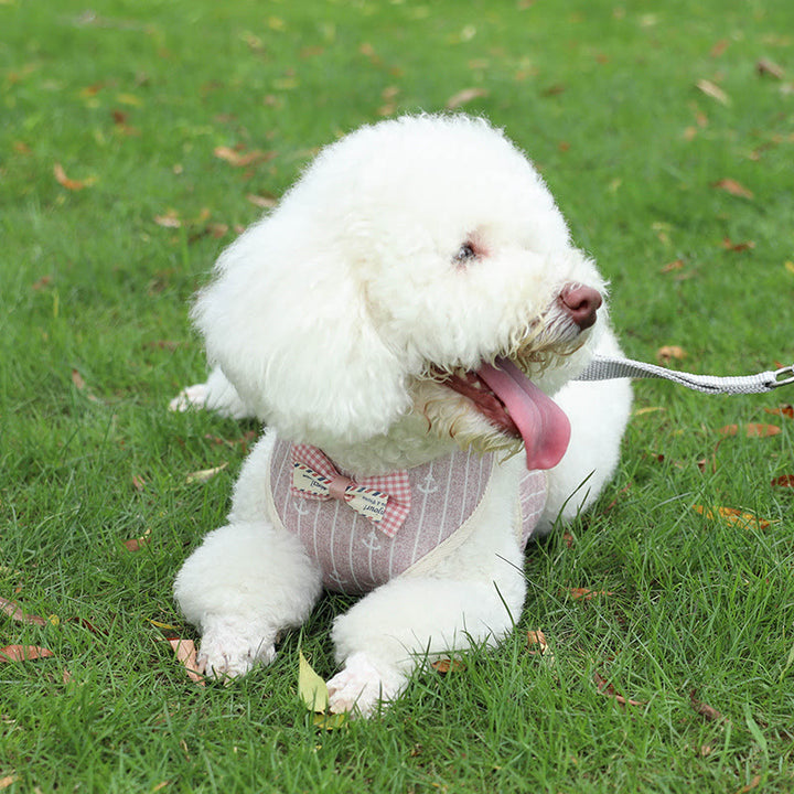 Hunde-/Katzenfliege, Spazierweste, Hundegeschirr, Leine, Set