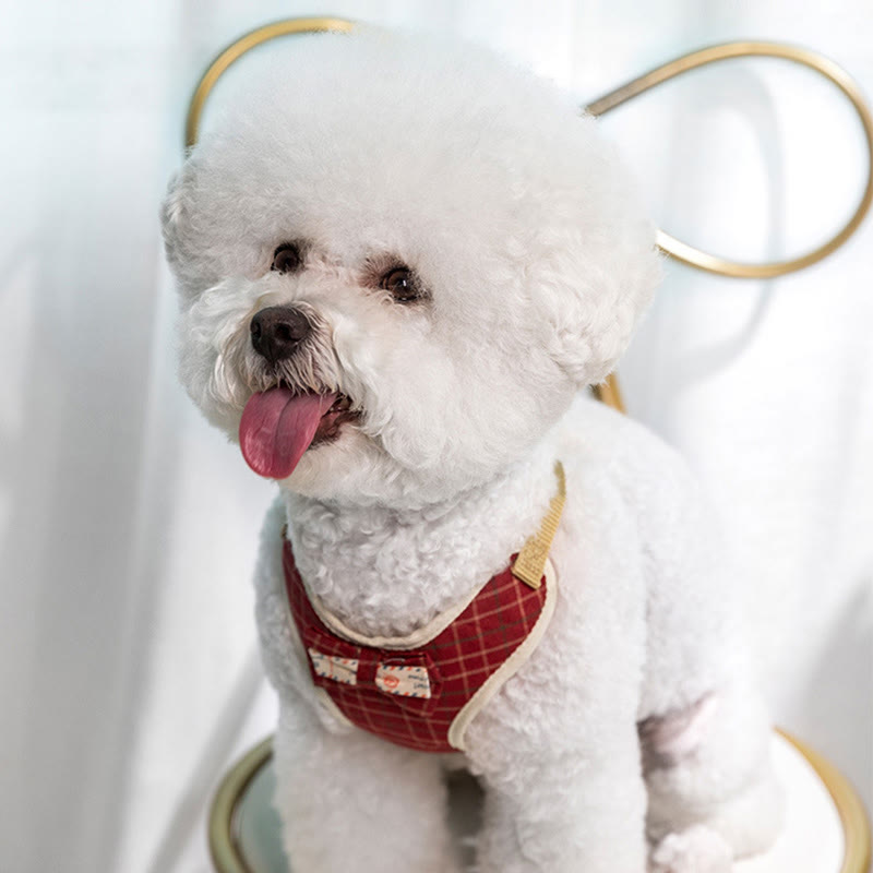 Hunde- und Katzen-Fliege, Trainingsweste, Hundegeschirr, Leine, Set