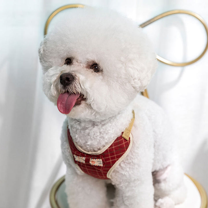 Hunde- und Katzen-Fliege, Trainingsweste, Hundegeschirr, Leine, Set