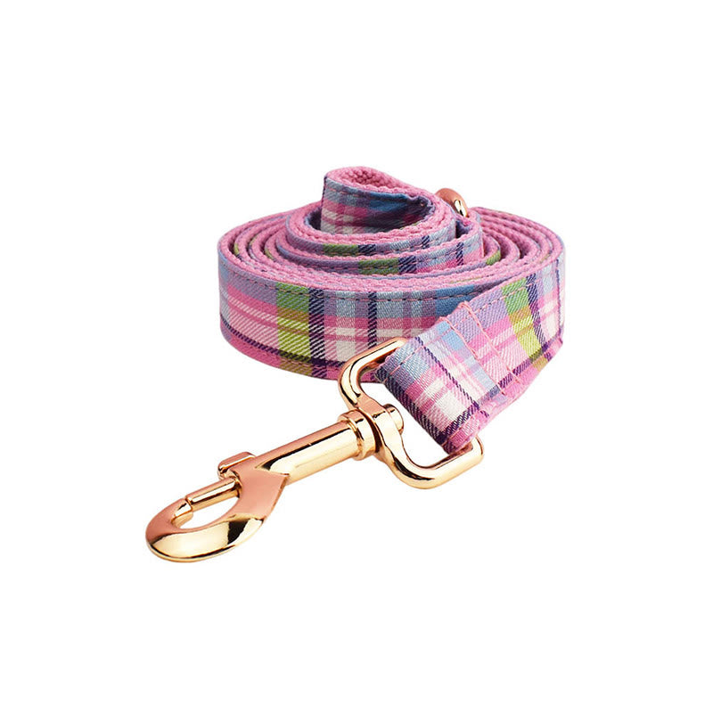 Farbe Plaid Hund Katze Einstellbare Fliege Kragen Hund Geschirr Leine Set