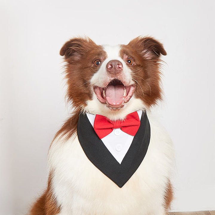 Hund Smoking Bandana Haustier Fliege