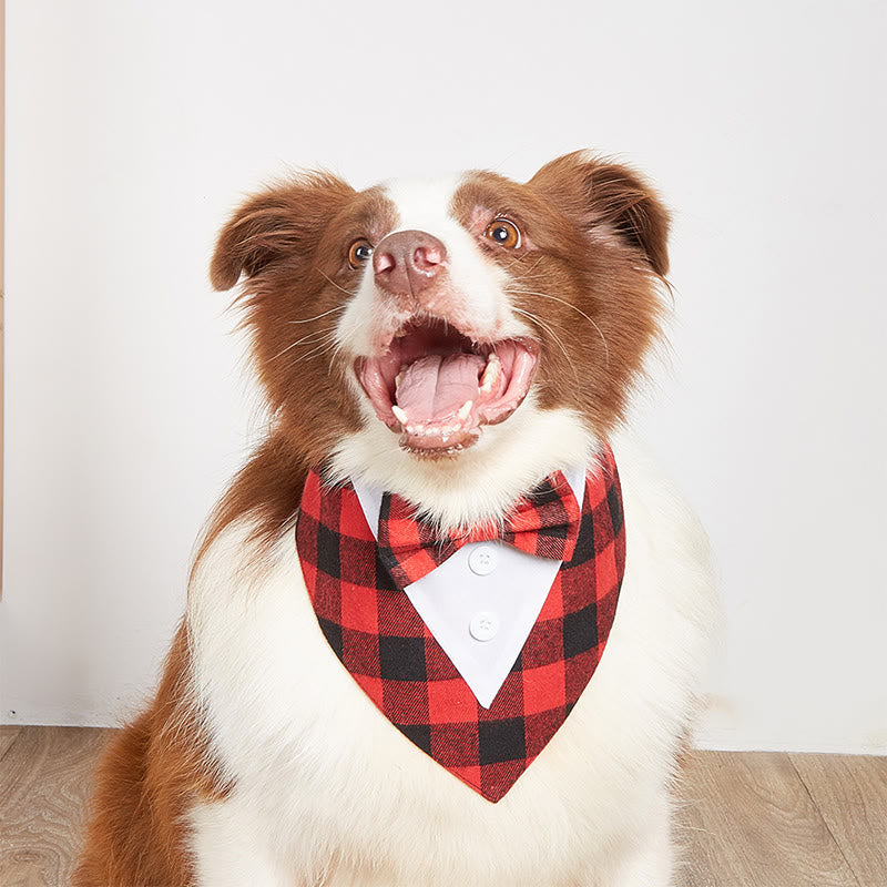 Hund Smoking Bandana Haustier Fliege