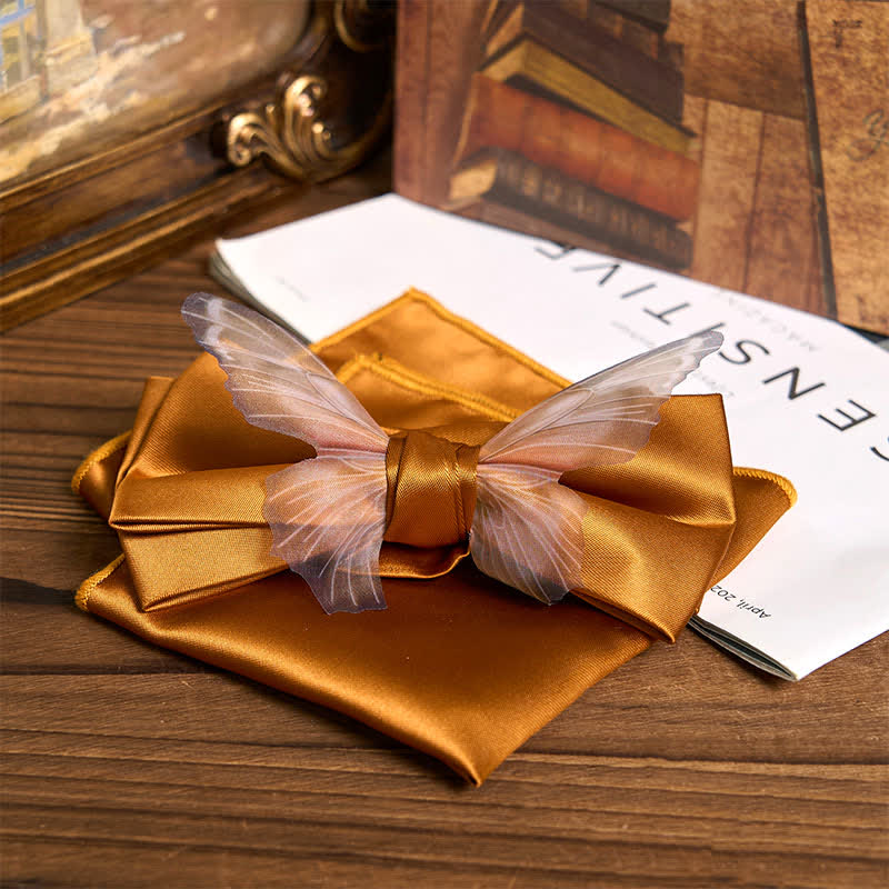 Herren-Set aus Vintage-Organza mit Schmetterlings-Fliege und Einstecktuch