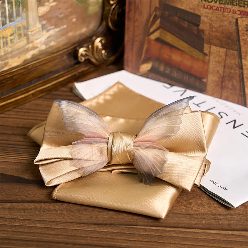 Herren-Set aus Vintage-Organza mit Schmetterlings-Fliege und Einstecktuch