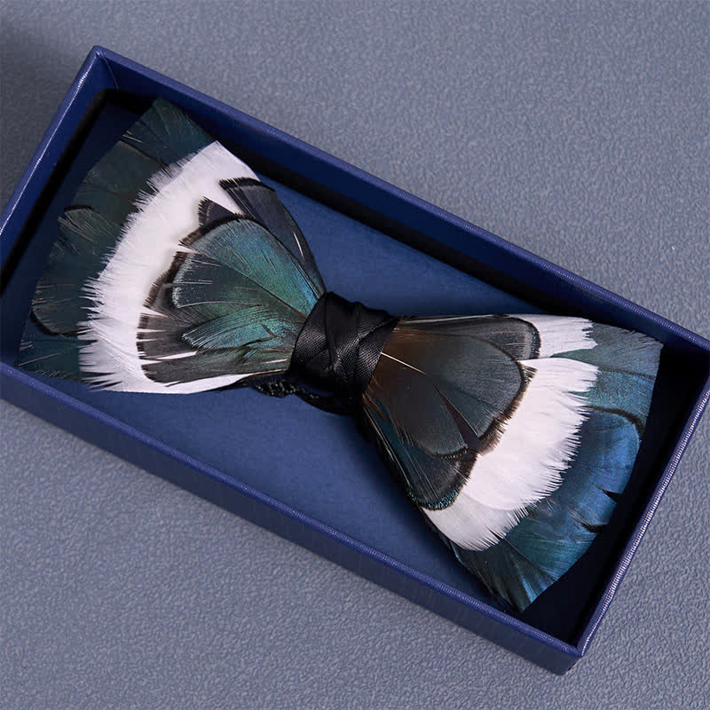 Blaue und weiße Wildheits-Feder-Fliege