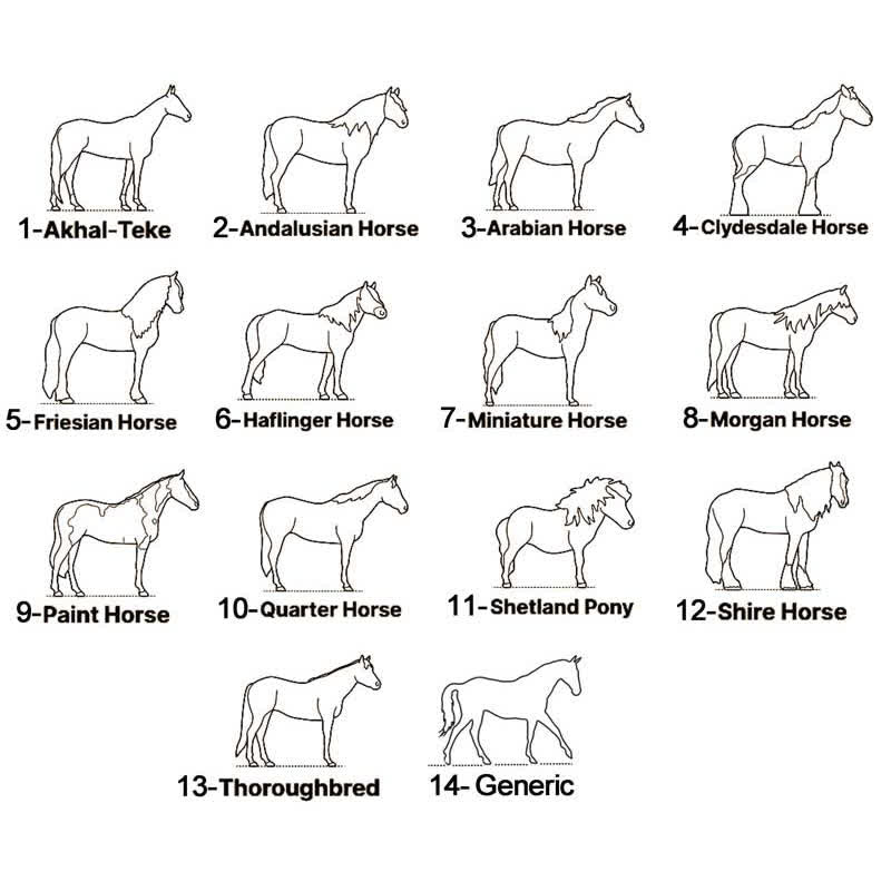 Personalisierte Halskette mit Anhänger für Pferdeliebhaber - image 3