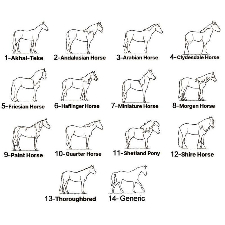 Personalisierte Halskette mit Anhänger für Pferdeliebhaber - image 3