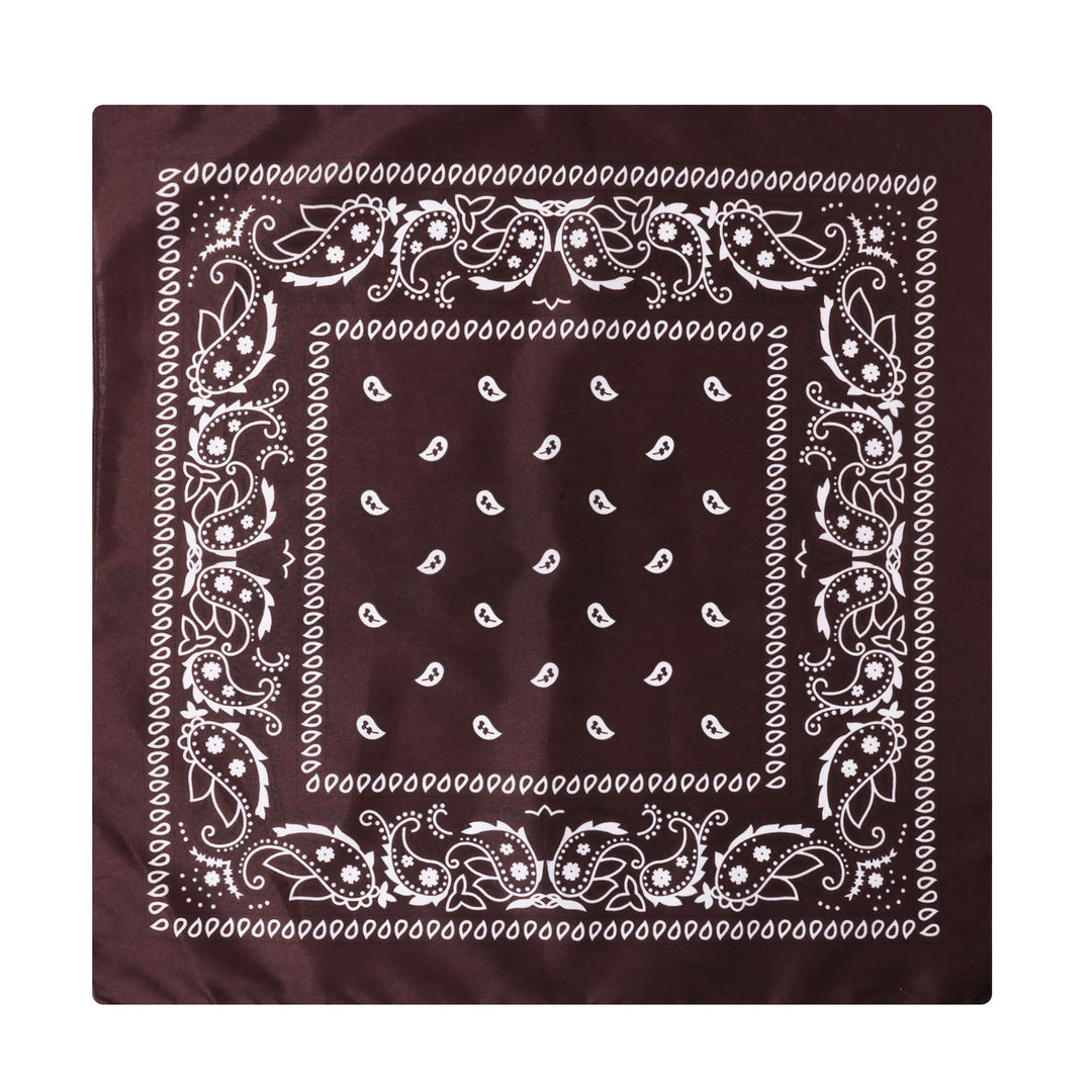 Vintage Einstecktuch mit Paisley-Cashew-Print und silberner Sternschnalle - Stil Nr. 16 - image 17