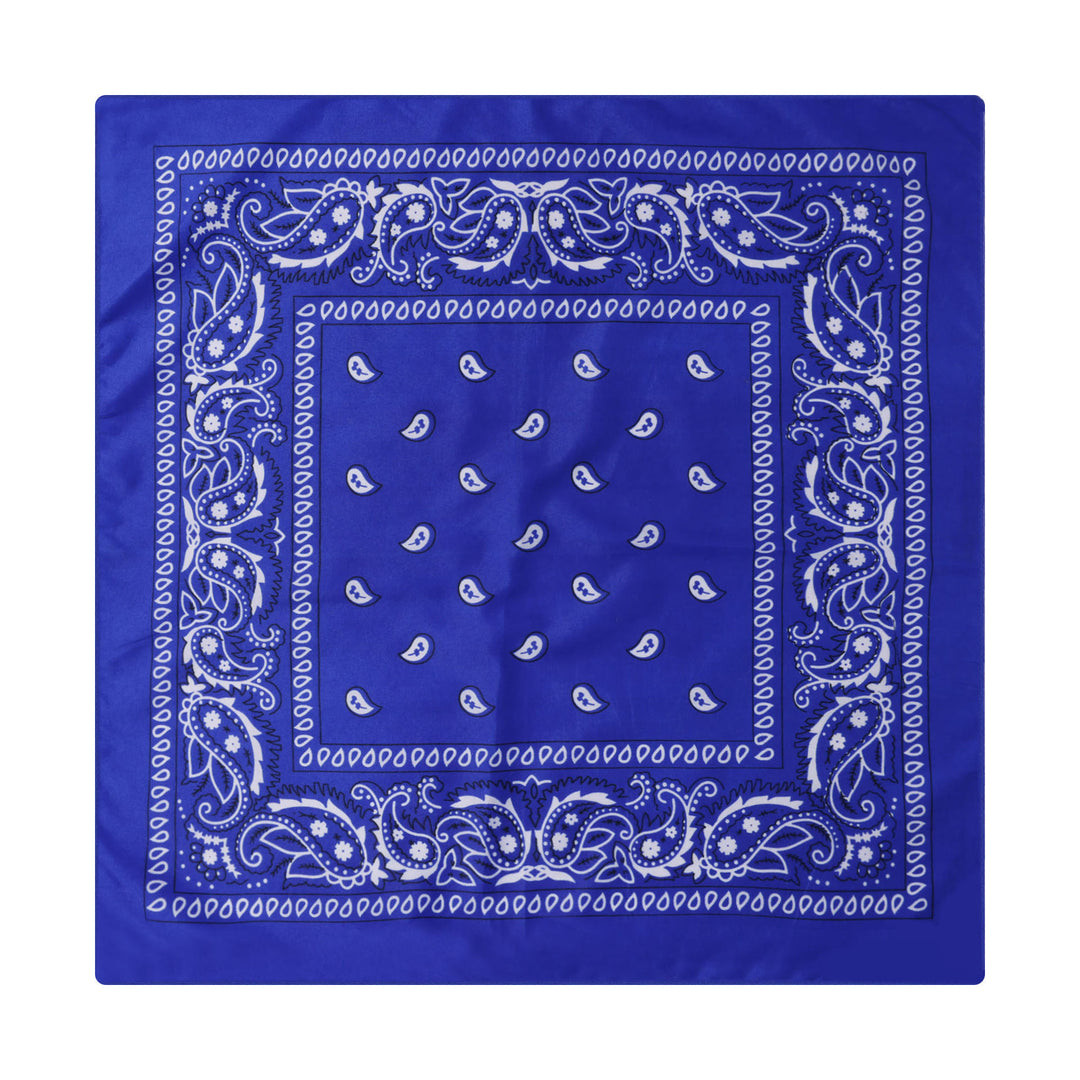 Vintage Einstecktuch mit Paisley-Cashew-Print und silberner Sternschnalle - Stil Nr. 12 - image 13