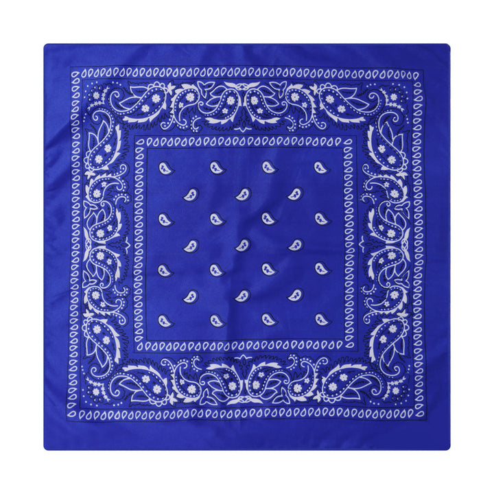 Vintage Einstecktuch mit Paisley-Cashew-Print und silberner Sternschnalle - Stil Nr. 12 - image 13