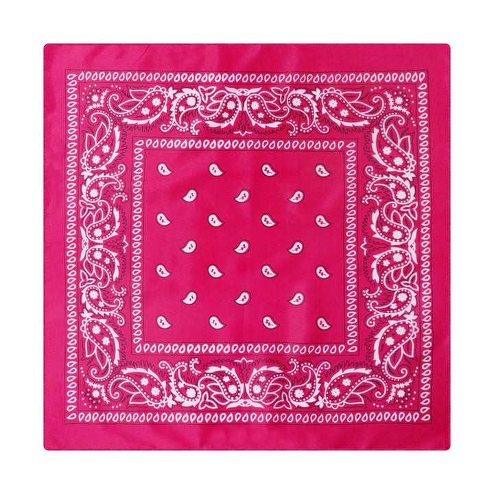 Vintage Einstecktuch mit Paisley-Cashew-Print und silberner Sternschnalle - Stil Nr. 19 - image 20