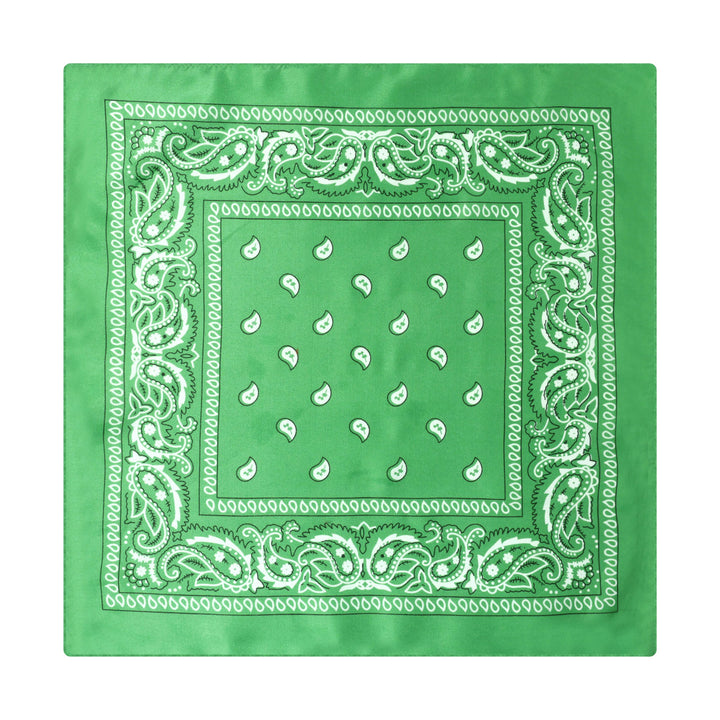 Vintage Einstecktuch mit Paisley-Cashew-Print und silberner Sternschnalle - Stil Nr. 13 - image 14