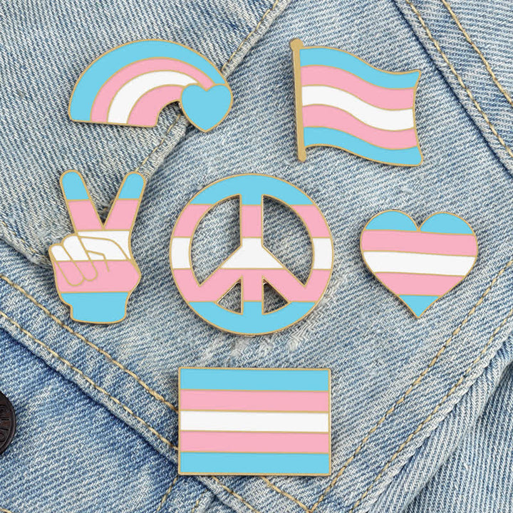 6Stk. Pride Day Pink & Blue Rainbow Flag Brosche