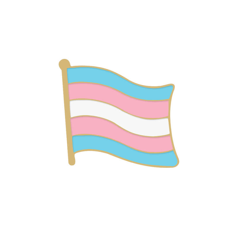 6Stk. Pride Day Pink & Blue Rainbow Flag Brosche