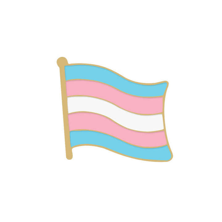 6Stk. Pride Day Pink & Blue Rainbow Flag Brosche