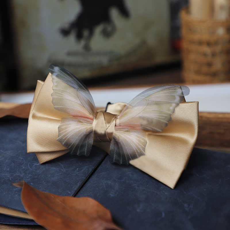 Herren-Set aus Vintage-Organza mit Schmetterlings-Fliege und Einstecktuch