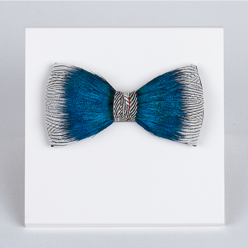 Blauer Pfau Ozean Liebe Feder Fliege